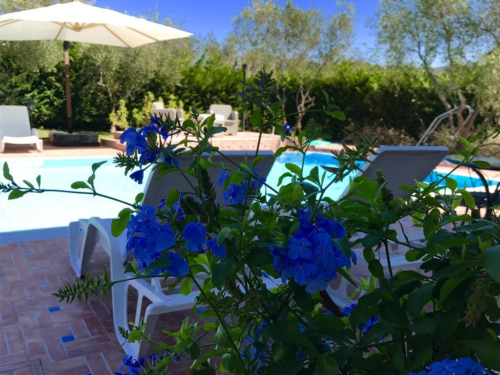 Casa Vacanze Il Cenito กัสเตลลาบาเต ภายนอก รูปภาพ