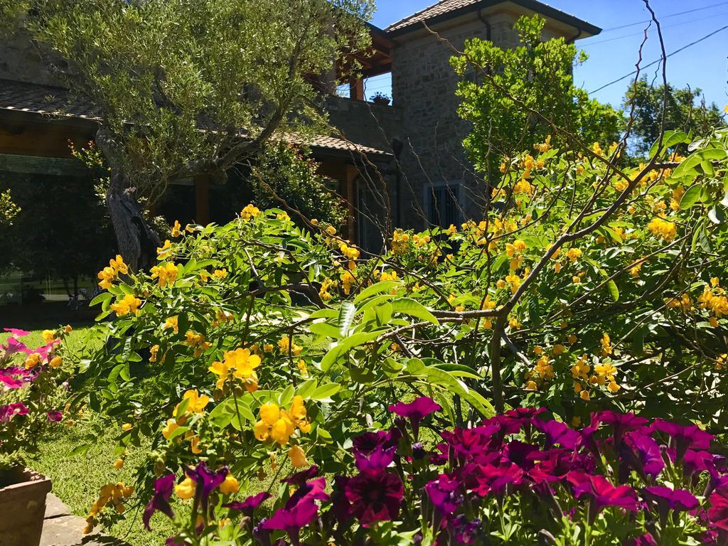 Casa Vacanze Il Cenito กัสเตลลาบาเต ภายนอก รูปภาพ